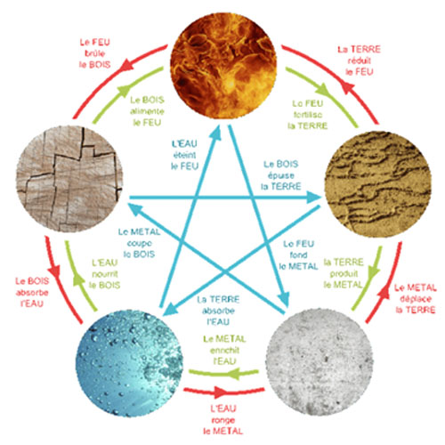 Image Praticienne en Médecine Chinoise 500x500