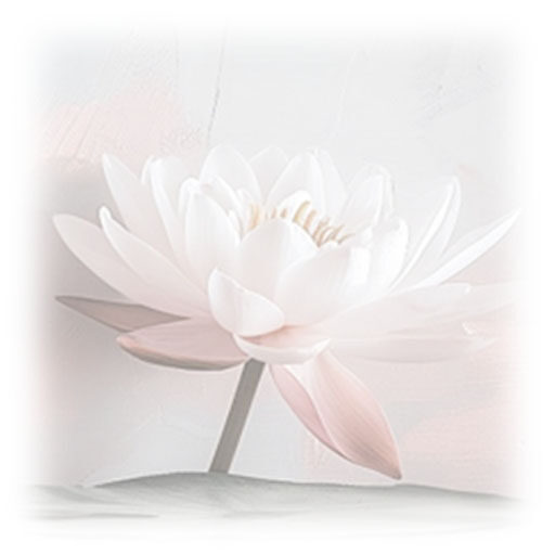 Logo Fleur de Lotus et icône onglet des navigateurs